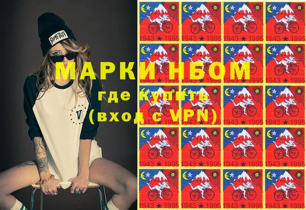 прущие грибы Анжеро-Судженск