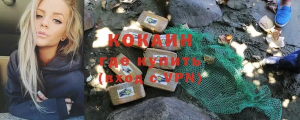 прущие грибы Анжеро-Судженск