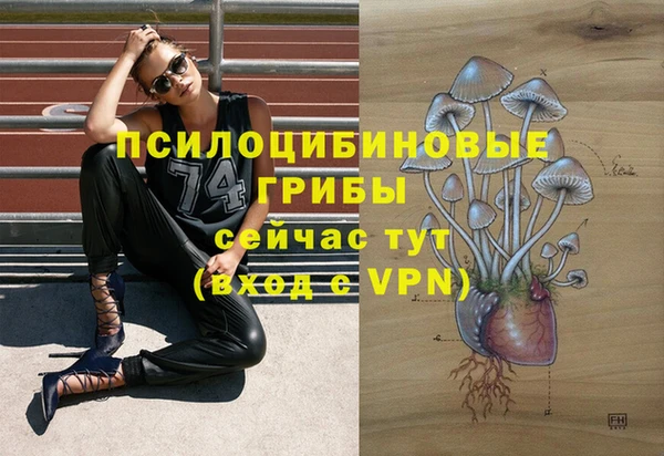 таблы Верея