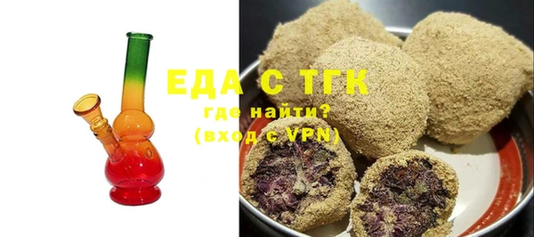 гашик Ельня