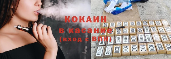 гидра Богородск